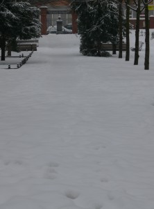 P1210674_web